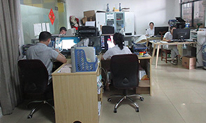 Professional & Efficient Team